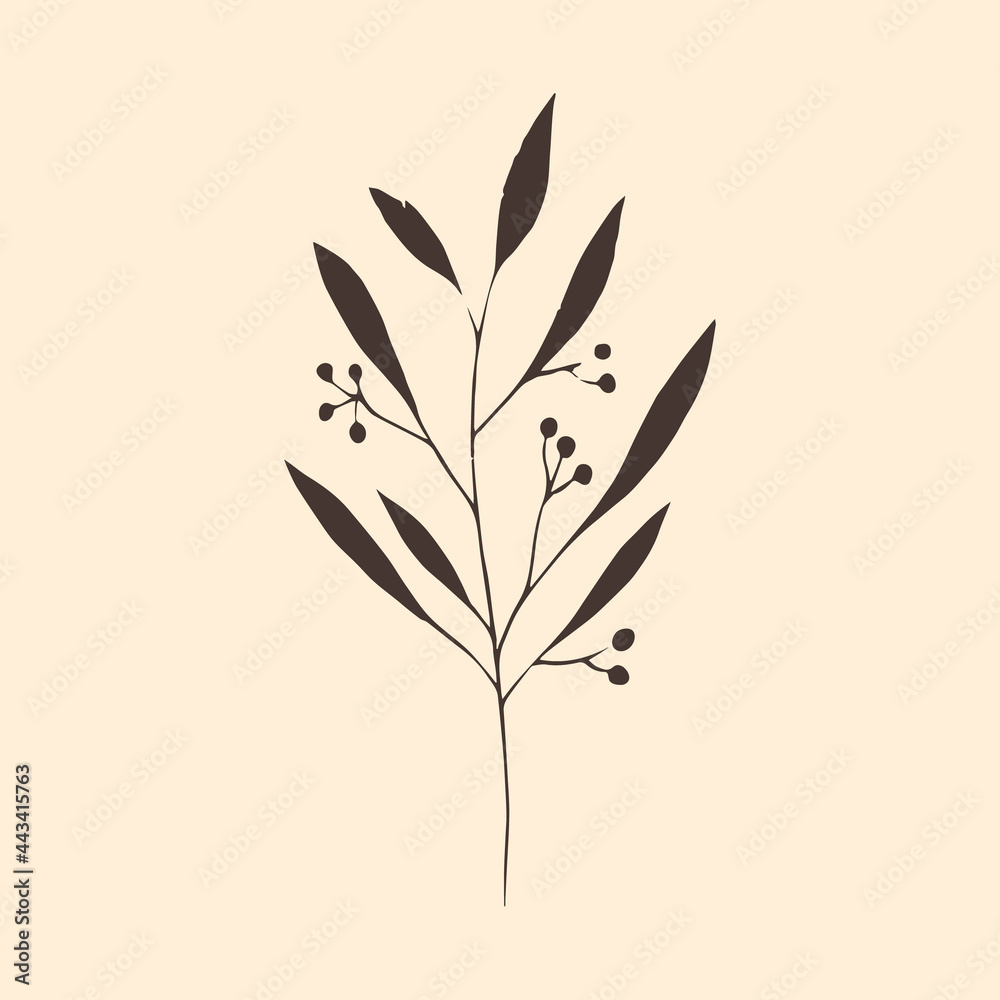 Fototapeta premium Vector illustration with a minimalistic plant. Vector illustration.