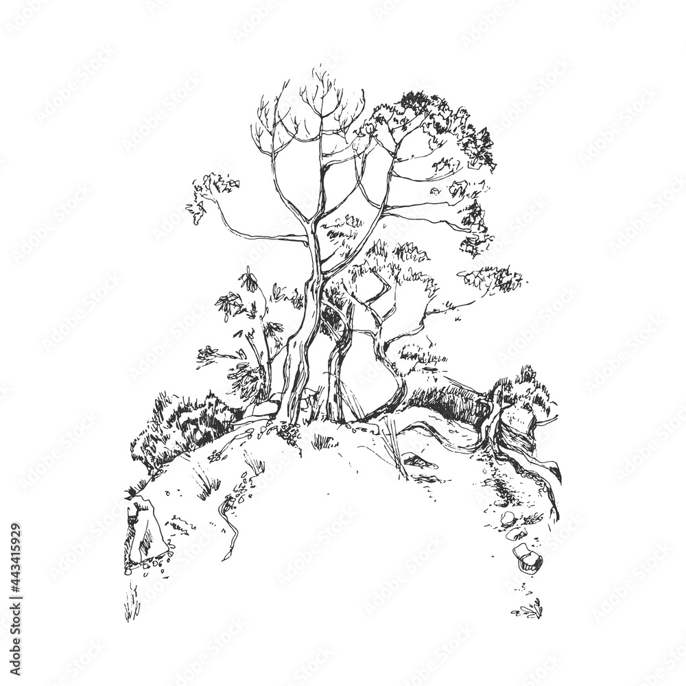 Trees on the cliff. Hand drawn sketch on white.  Vector realistic illustration. Black and white.