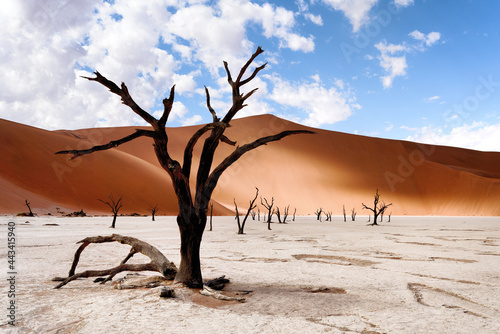 Deadvlei in Sossusvlei desert.