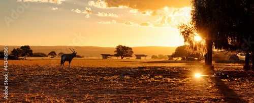 Plakat Camp in Sossusvlei.
