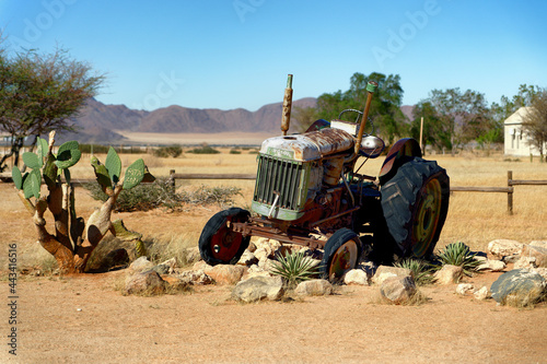Obraz na płótnie Solitaire in Namib desert.