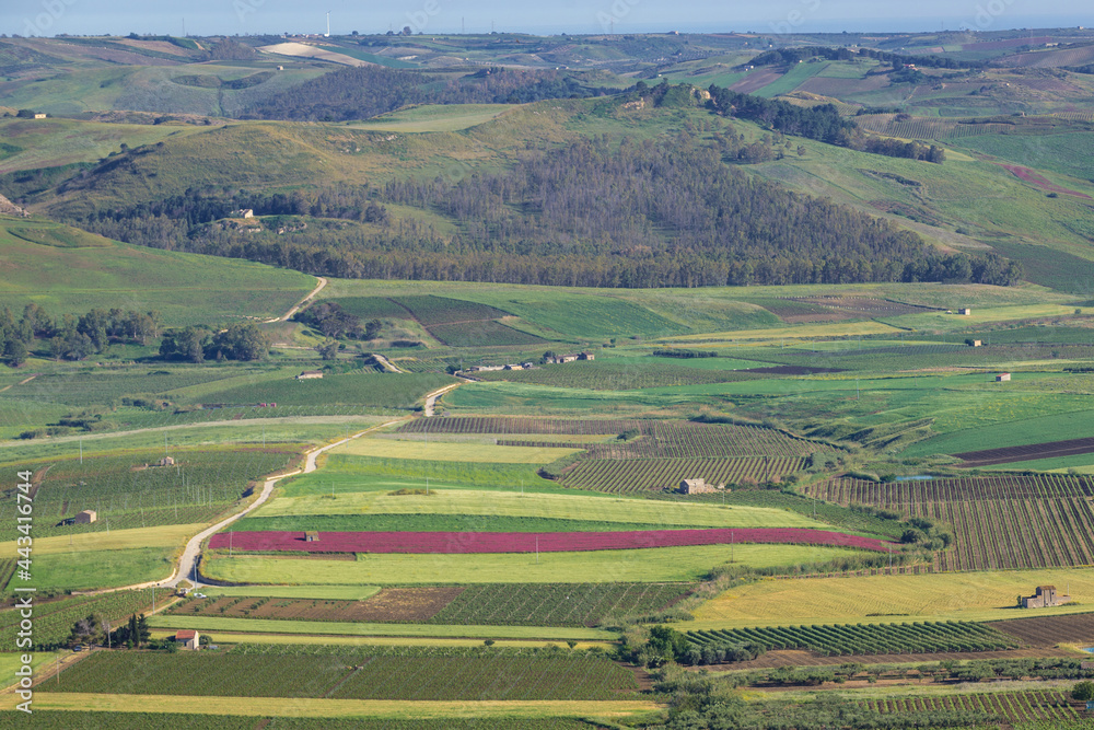 Rural area of Belice valley, view from Salemi town, Sicily Island in Italy