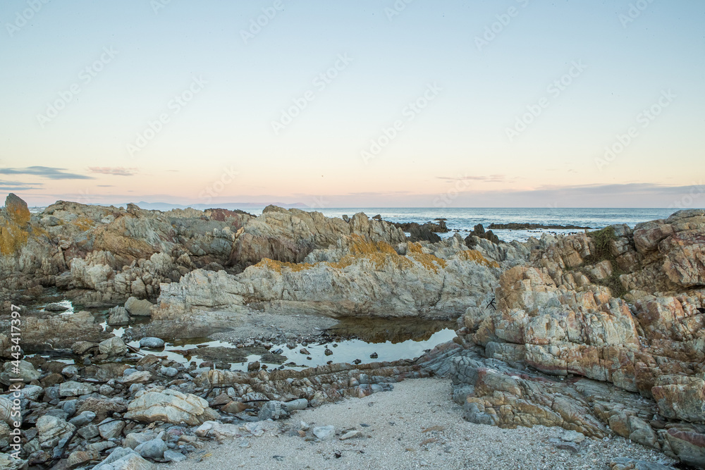 Ocean Rocks at Low Tide