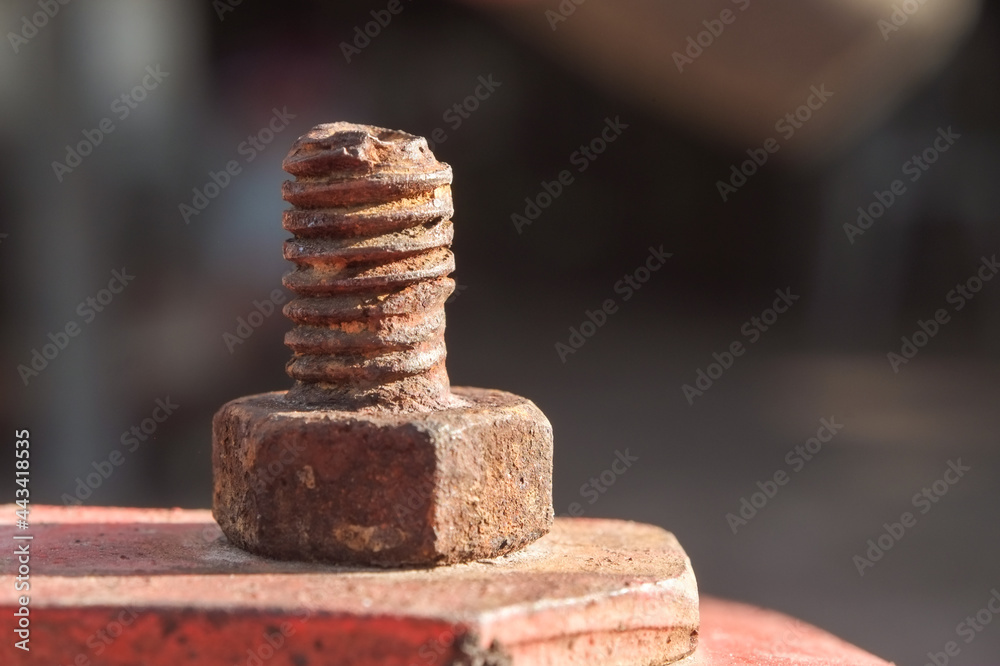 Old rusty steel head bolts or nut with screws close-up. Old rusty steel head bolts or nut with screws close-up.