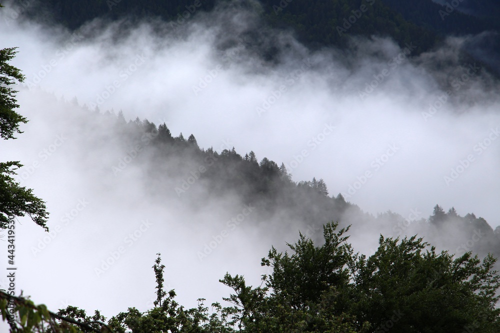 Nebel im Gebirge Nebel im Gebirge