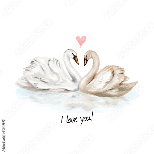Vector watercolor hand painted illustration of couple of swans in love. Isolated on white background.