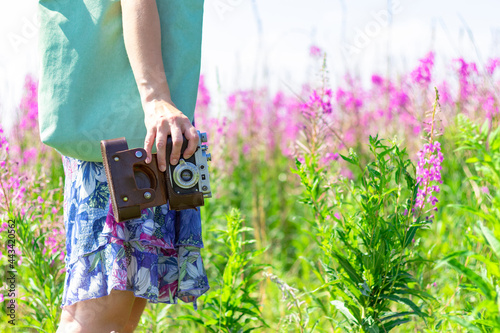 Part of a girl in a blue dress and a camera in her hand in a field of red flowers on a hot summer day. Selective focus. Close-up