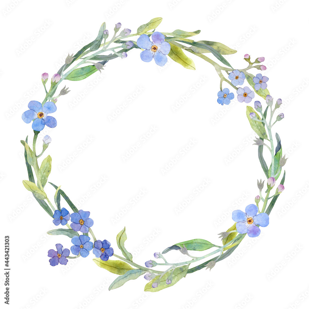 Watercolor botanical wreath with blue flowers and herbs on white background. Forget-me-nots.