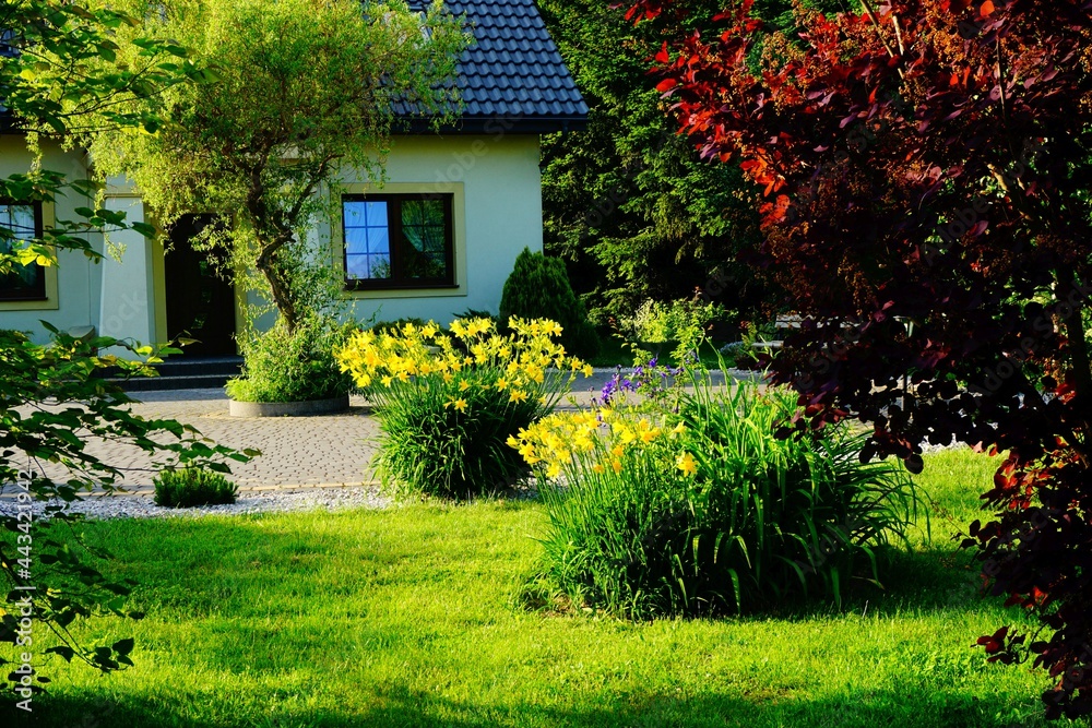 Obraz premium Spojrzenie z ogrodu na dom