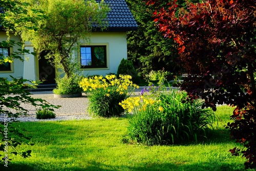 Fototapeta Naklejka Na Ścianę i Meble -  Spojrzenie z ogrodu na dom