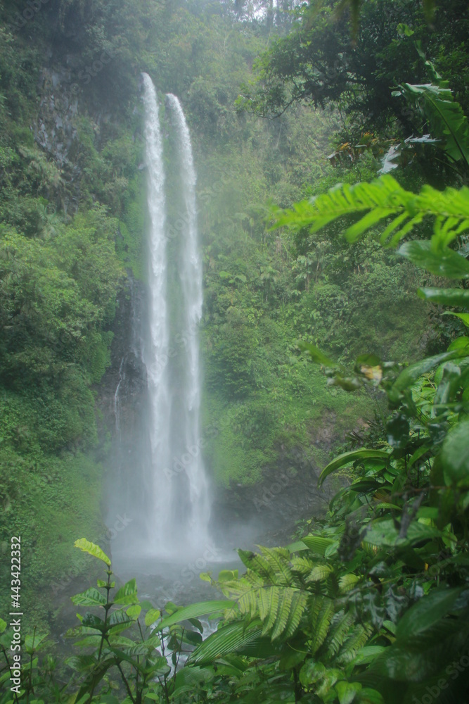 Fototapeta premium curug pengantin baturaden