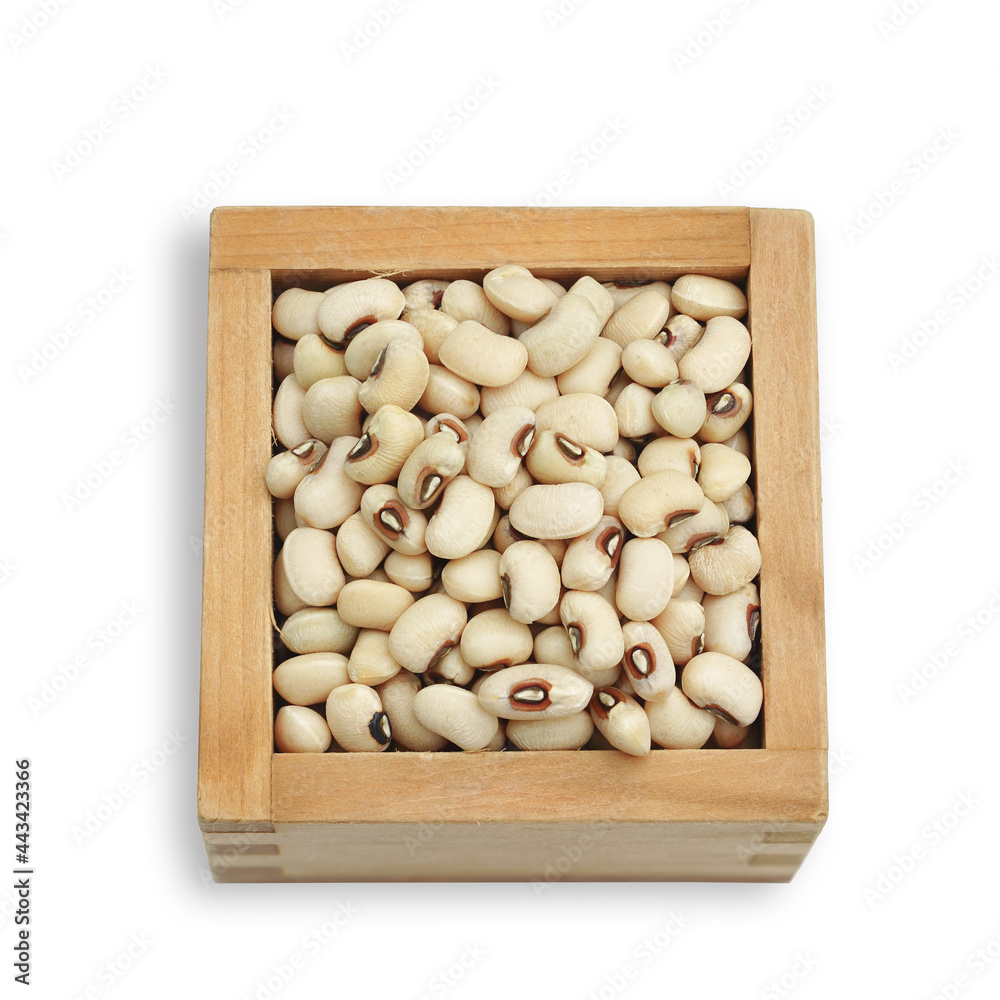 Dry soybean , white bean isolated on white background. This has clipping path. Dry soybean , white bean isolated on white background. This has clipping path.