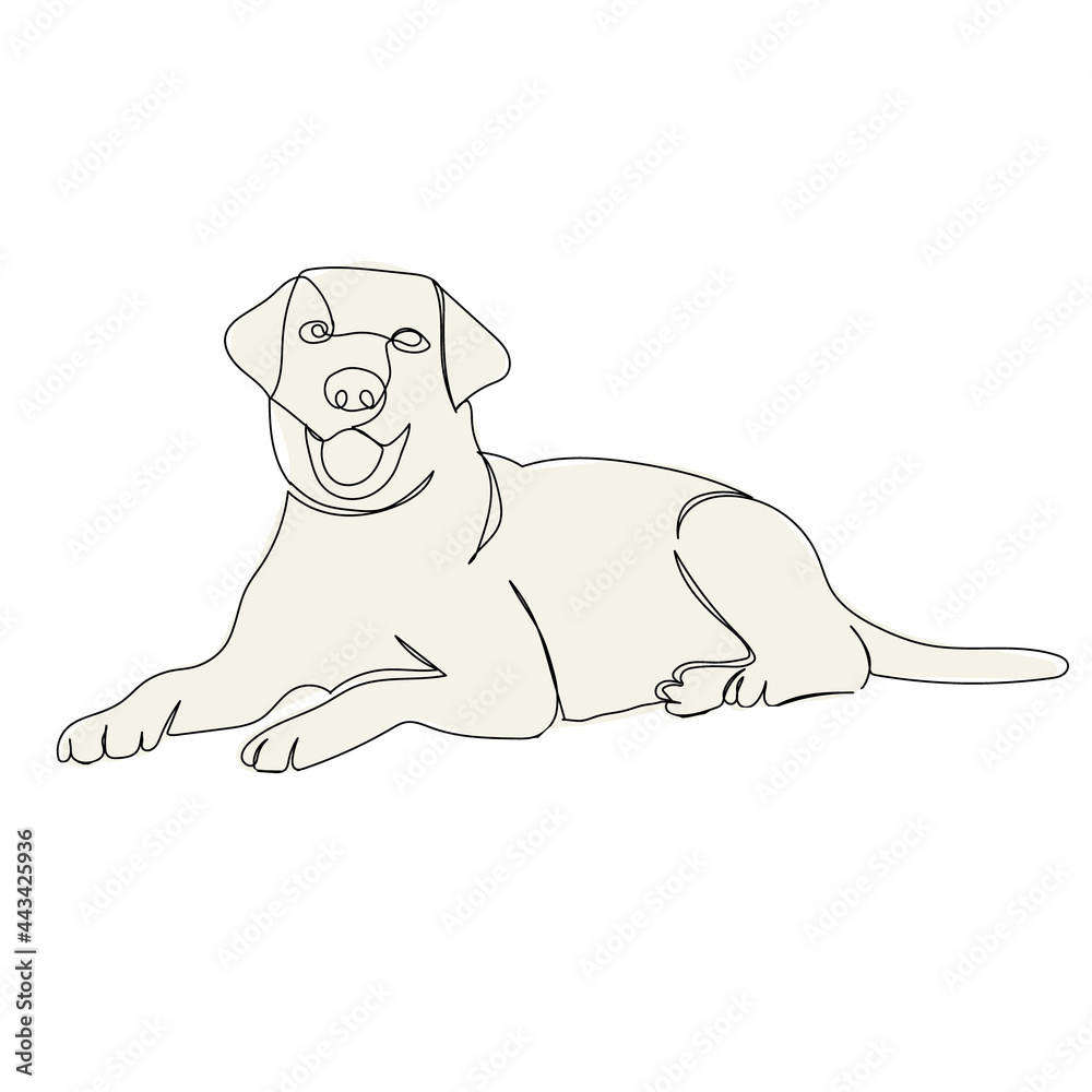 Obraz premium dog lies line drawing, picture, isolated, vector