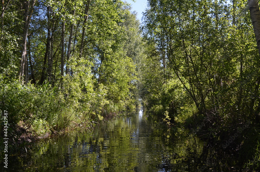 Obraz premium sunset over the city