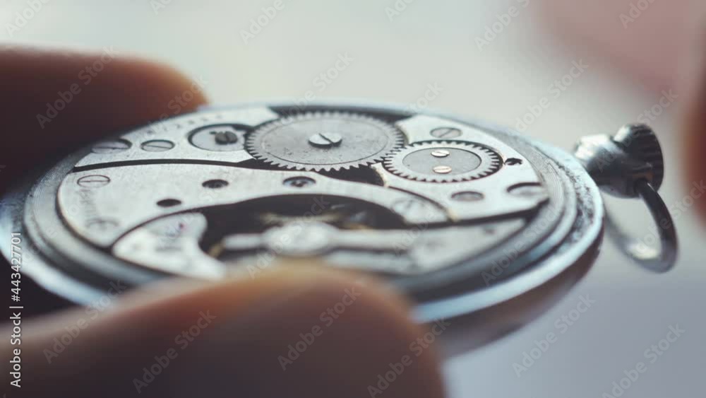 Mechanical watch repair. Adjusting wristwatch Mechanical watch repair. Adjusting wristwatch