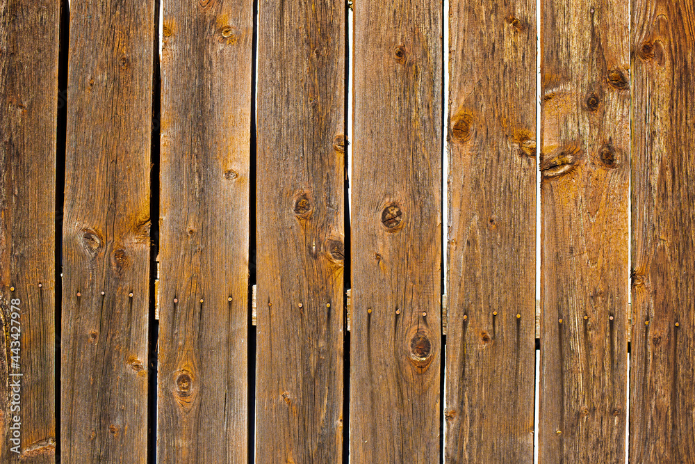 Naklejka premium Nature wood textured wallpaper background