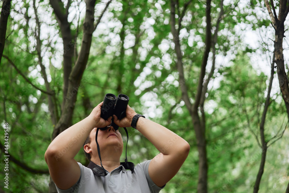 Man watching birds through binoculars in forest Man watching birds through binoculars in forest