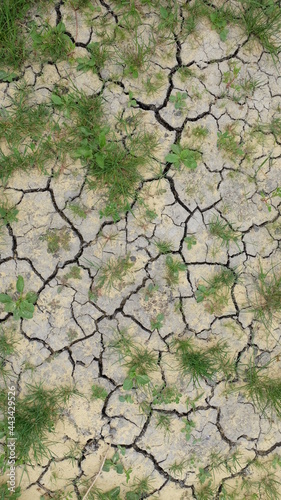 dry cracked earth