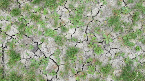 dry cracked earth