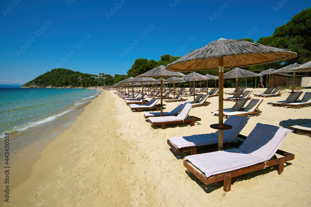 Φωτογραφία Koukounaries , the world-famous beach of the island of Skiathos in Greece, combines the green of the pine, the blonde sand and the crystal clear sea