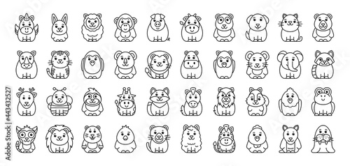 Photography Animals Icon Set