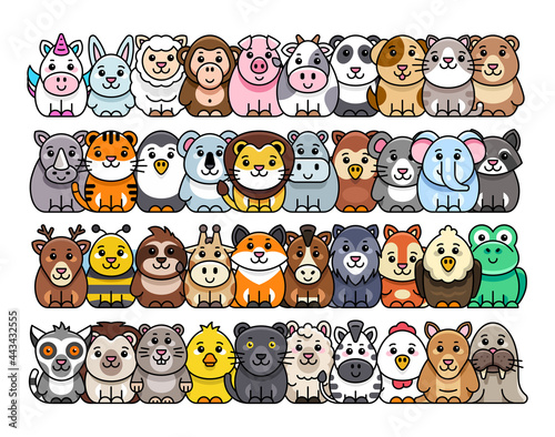 Photography Animals Icon Set