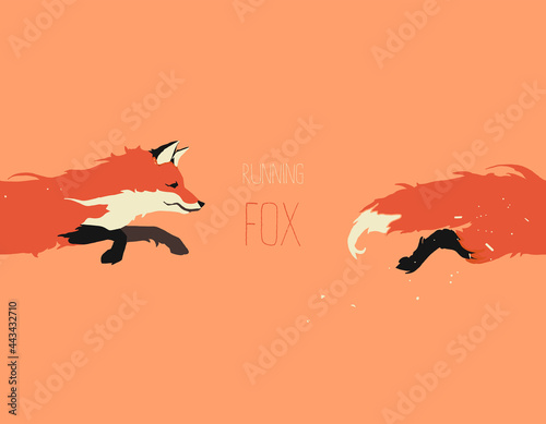 Red Fox jumping, fox flight, flat vector art