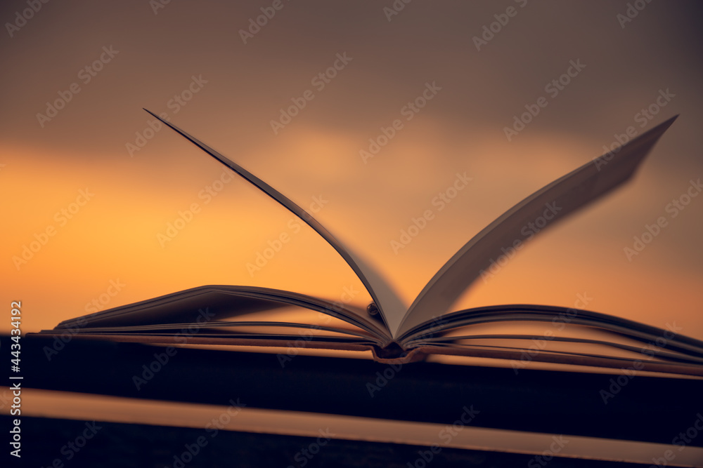 Cozy Evening with a Book Cozy Evening with a Book