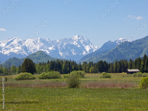 Murnauer Moor und bayerische Berge mit Zugspitze und Wetterstein