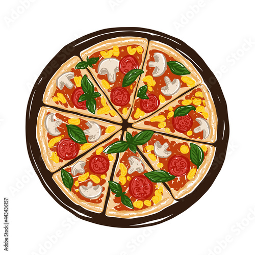 Vector illustration of hand drawn pizza. Tasty Italian pizza topped with tomato sauce, cheese, mushrooms, tomatoes and basil.