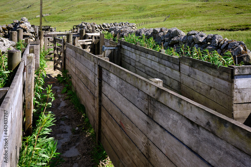 Empty sheep pens by the B709 between Eskdalemuir and Ettrick photo