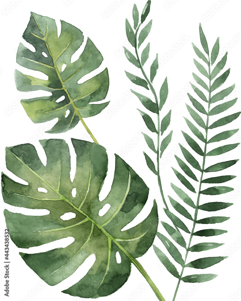 Watercolor vector arrangement of tropical leaves isolated on a white ...