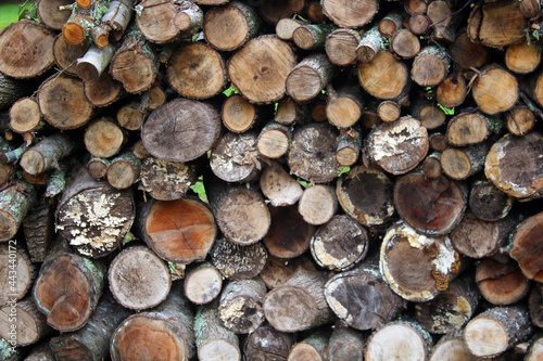 Closeup of round logs stacked firewood