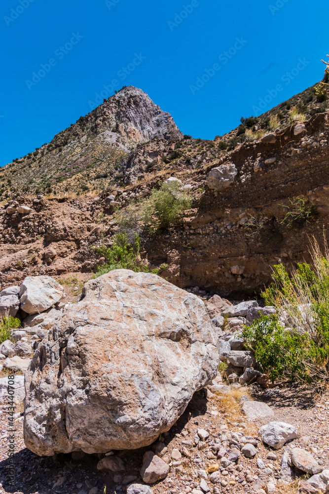 Multi Colored Rocks of The Delamar Mountains,  Rainbow Canyon, Caliente, Nevada, USA