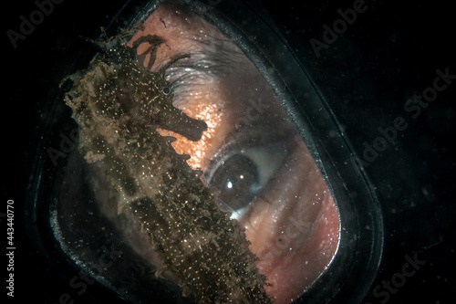 Female scuba diver looking at Seahorse while diving