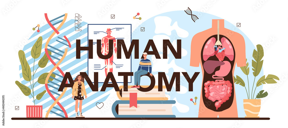Fototapeta premium Human anatomy typographic header. Internal human organ studying