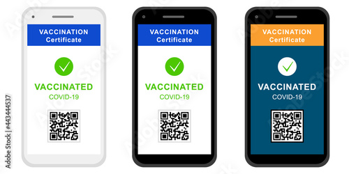 Vaccination digital certificate in smartphone screen, isolated vector. Immunity passport of Covid-19 vaccinated person with QR code for online checking immune status. Medical control, safe travel.
