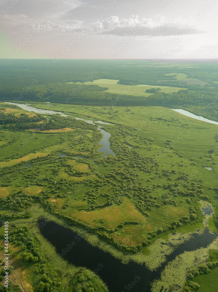 Beautiful summer landscape with a drone on the river, flood meadows, fields, forests. Vertical photo