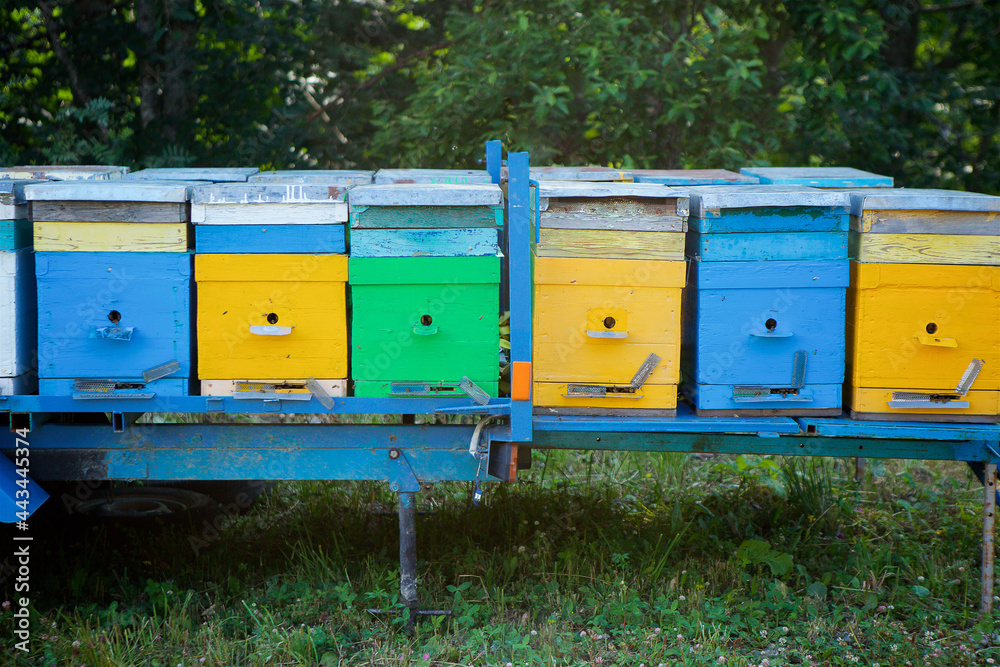 Hives for bees. Gardening and production of natural food products. Hives for bees. Gardening and production of natural food products.