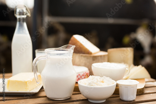 Bilde på lerret jug of milk, bottle of kefir, cottage cheese, cream and yogurt in bowl, cheese,
