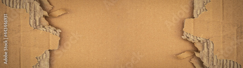 Brown beige old damaged torn paper, cardboard pattern texture background banner panorama