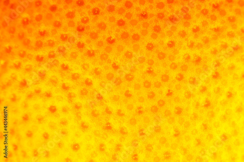 Wallpaper Mural Close up photo of Grapefruit peel texture. Exotic ripe fruit background, macro view. .Human skin problem concept, acne and cellulite.   Beautiful nature wallpaper. Torontodigital.ca