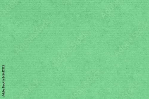 Kraft paper texture background. Green color