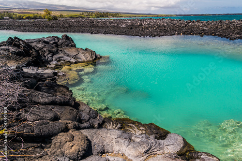 The Beautiful Water of Wainanalii Lagoon Surrounded By Ancient Lava Flows, Kiholo Bay, Hawaii Island, Hawaii, USA