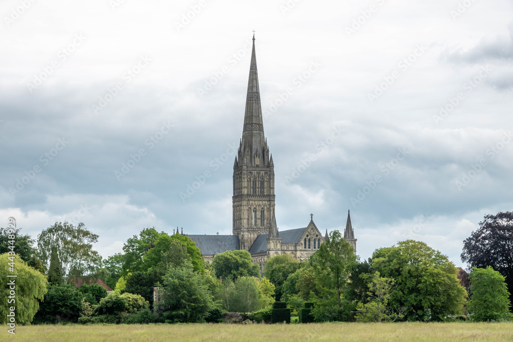 view of Salisbury Cathedral across the meadows view of Salisbury Cathedral across the meadows