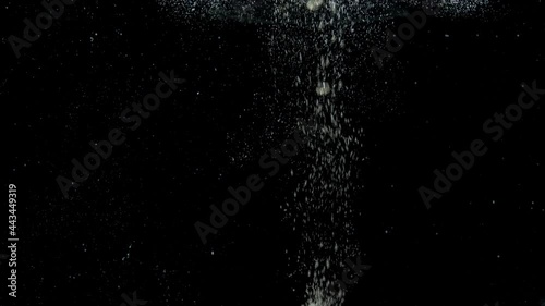 Numerous small air bubbles in water rising up to the surface on isolated black background. Air bubbles floating under transparent water bubbles in aquarium