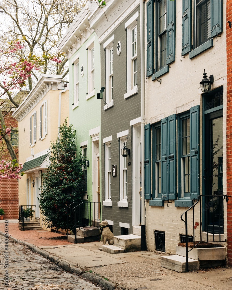 Brick row houses in Philadelphia, Pennsylvania