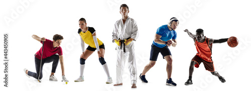 Sport collage. Golf, fitness, volleyball, taekwondo, running, basketball players in motion isolated on white studio background.