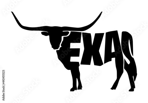 Texas with longhorn vector. Design element for poster, t-shirt print, banner. photo