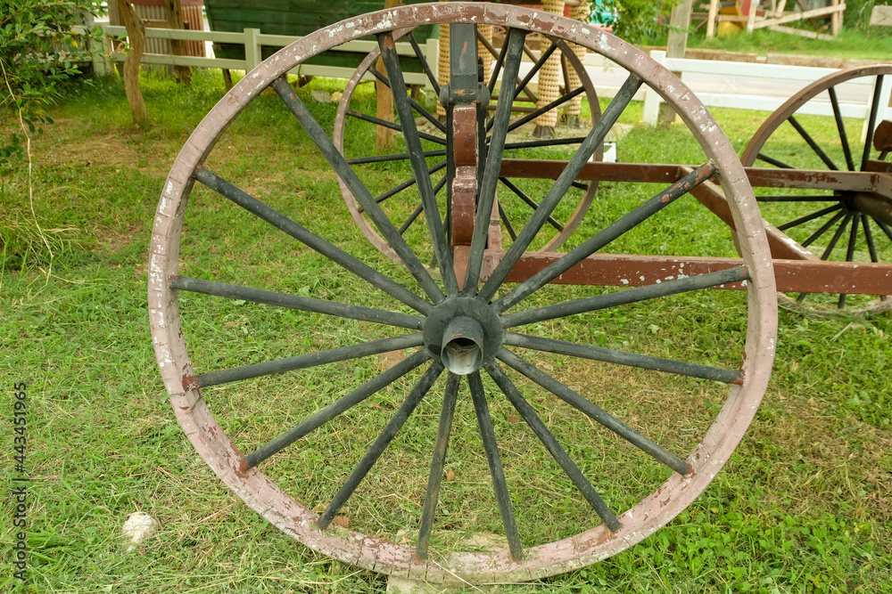 Wagon wheel made of wood, round, outdoor use